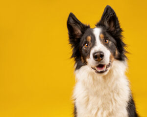 GettyImages-1213516345-1