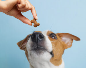 GettyImages-2223656176-1