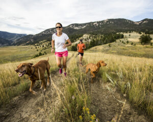 GettyImages-531132727